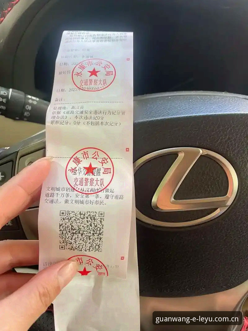 年度特别版CN登录页安装教程 资深车迷分享:摩纳哥维修区超速罚单背后的几个坑,看完才懂怎么避